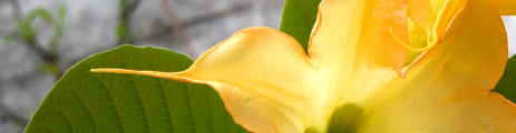 Medford Skin Care